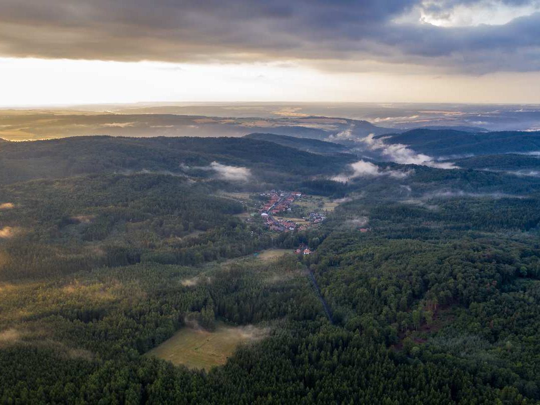 Lesní krajina Křivoklátska